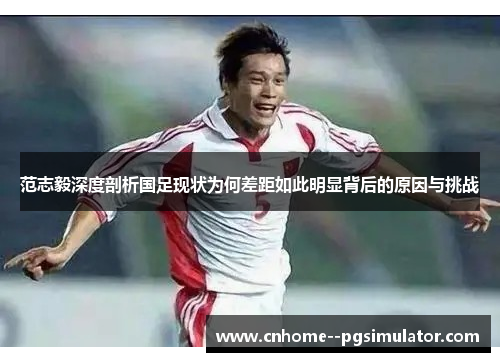 范志毅深度剖析国足现状为何差距如此明显背后的原因与挑战