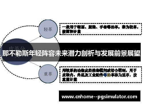 那不勒斯年轻阵容未来潜力剖析与发展前景展望