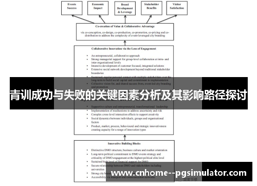 青训成功与失败的关键因素分析及其影响路径探讨