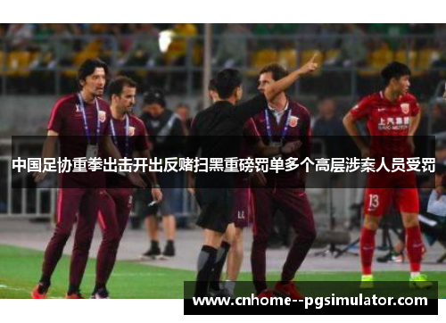 中国足协重拳出击开出反赌扫黑重磅罚单多个高层涉案人员受罚